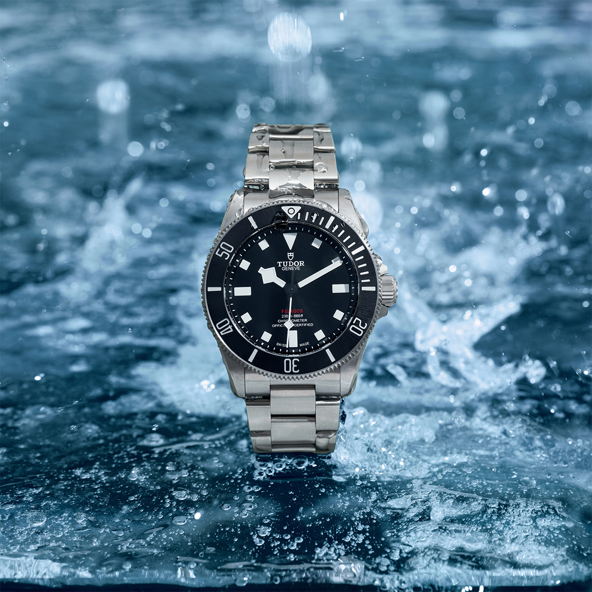 Tudor pelagos service online cost