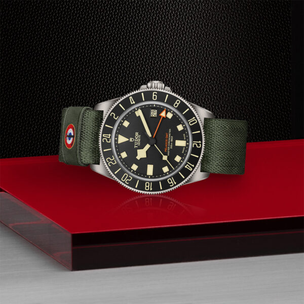 TUDOR Pelagos FXD GMT 42mm - M2542G247NU-0002